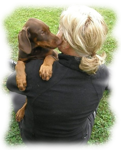 Dobermann-Welpe 06