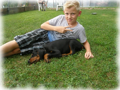 Dobermann-Welpe 05